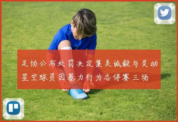 足协公布处罚决定集美诚毅与灵动星空球员因暴力行为各停赛三场